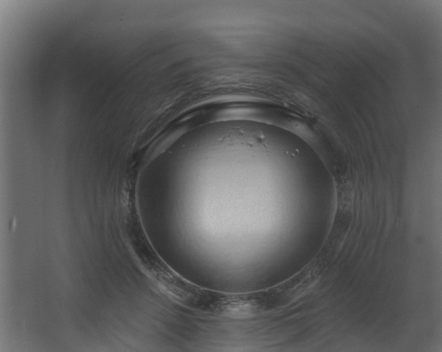 X0000068740456200605011030