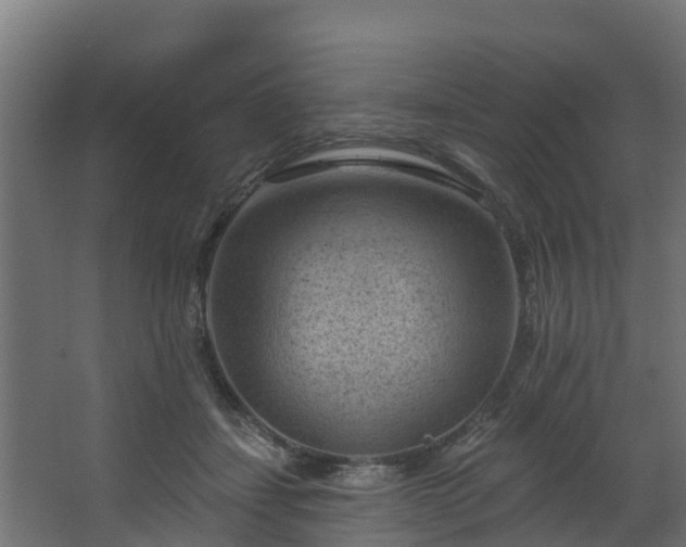 X0000068740459200605011030