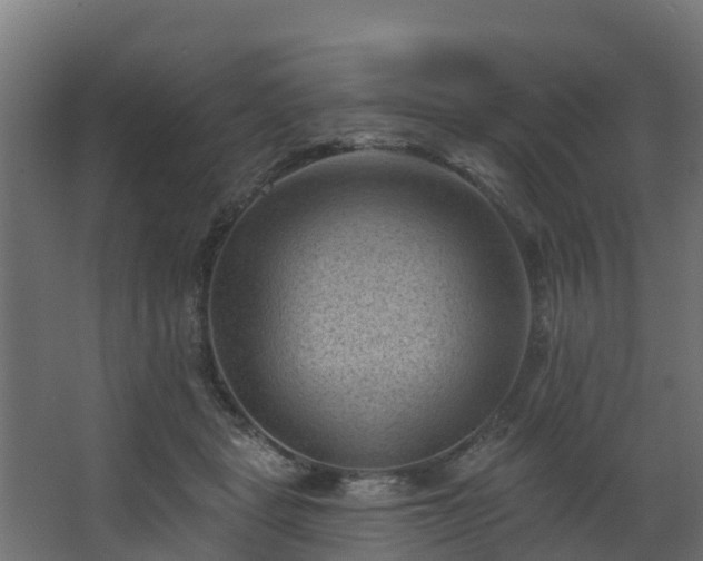 X0000068740461200605011030