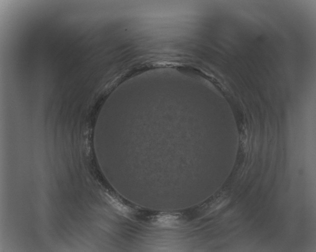 X0000068740462200605011030