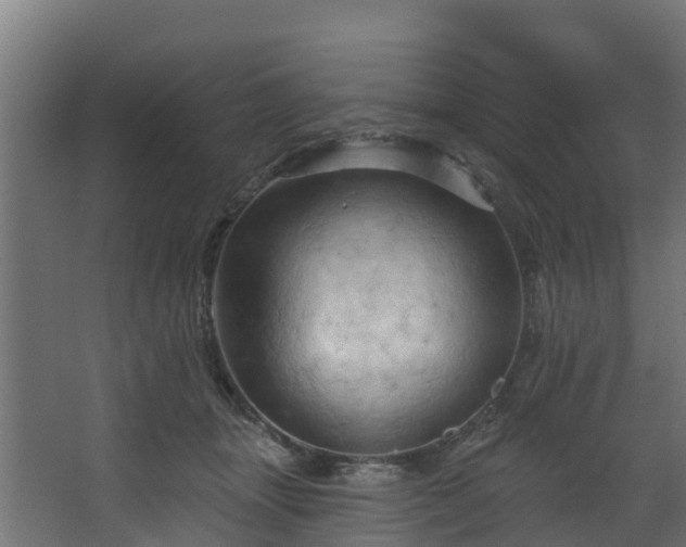 X0000068740463200605011030