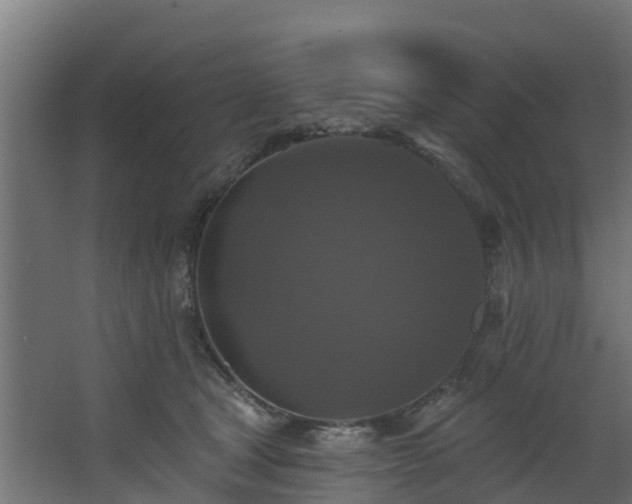 X0000068740465200605011030