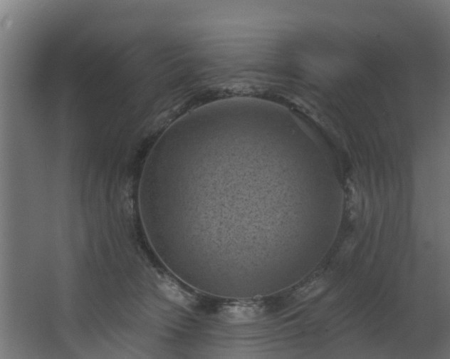 X0000068740466200605011030