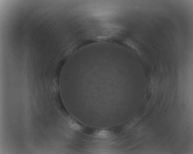 X0000068740467200605011030