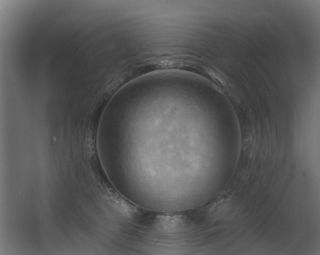 X0000068740469200605011030