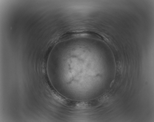 X0000068740470200605011030