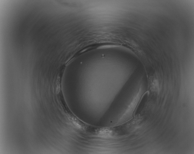 X0000068740471200605011030