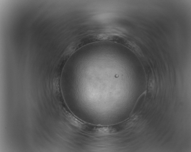 X0000068740473200605011030