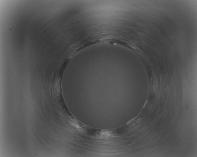 X0000068740475200605011030