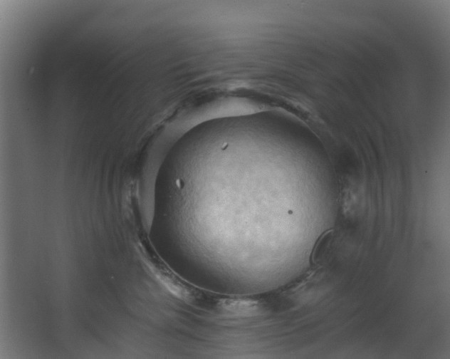 X0000068740476200605011030