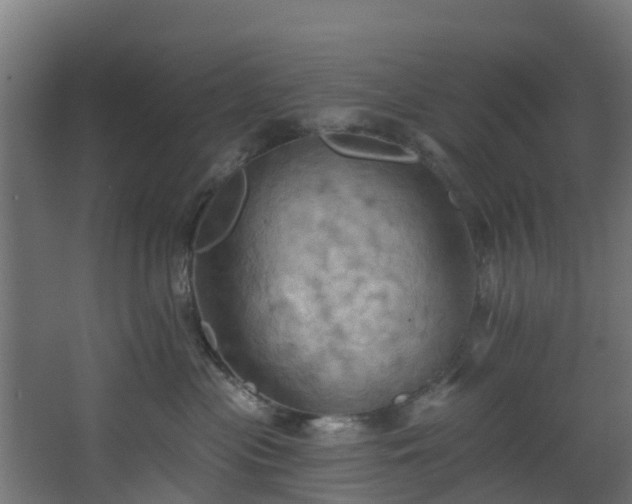 X0000068740477200605011030