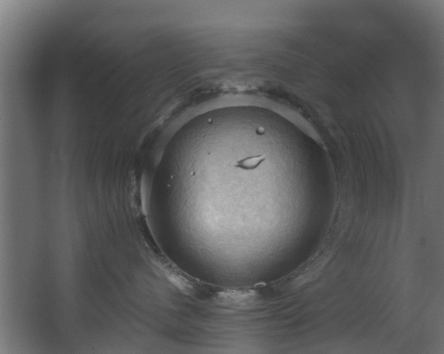 X0000068740480200605011030