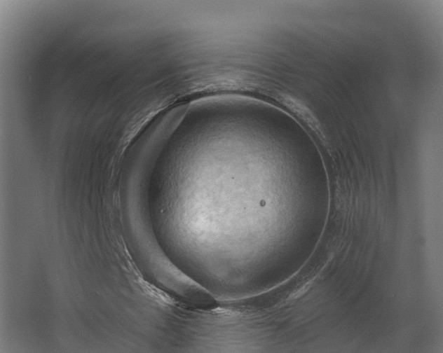 X0000068740481200605011029