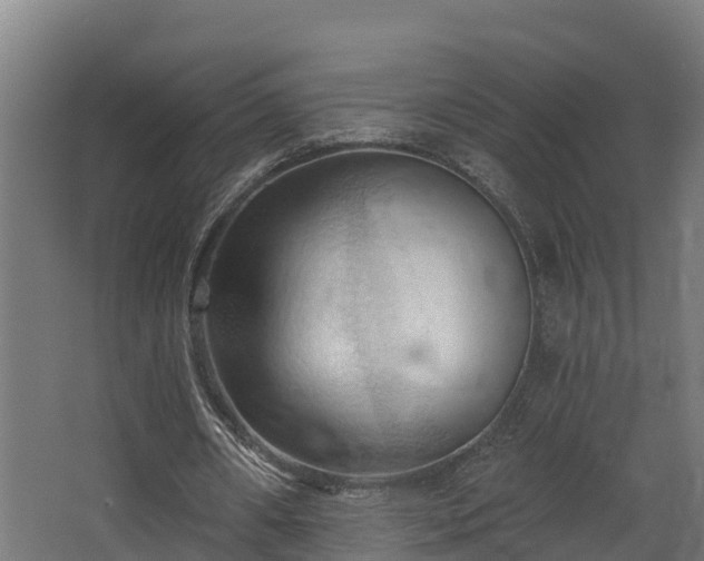 X0000068740482200605011029