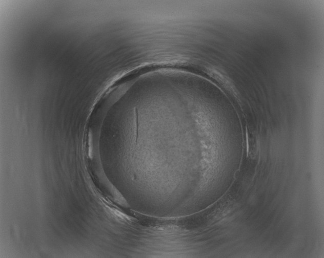 X0000068740483200605011029