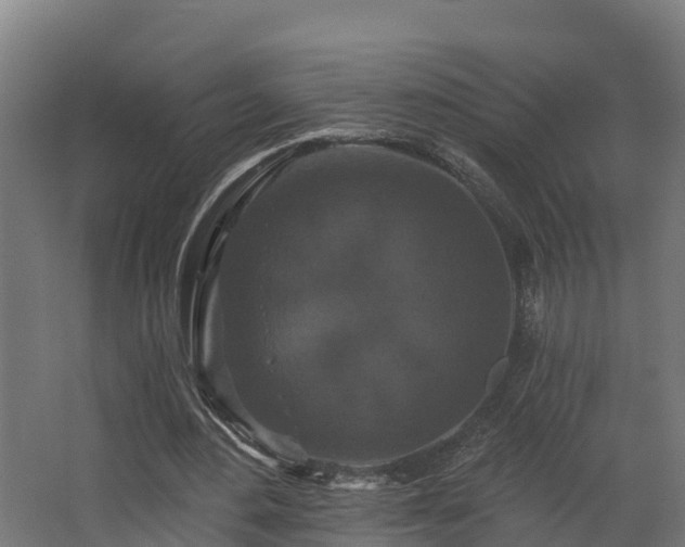 X0000068740484200605011029