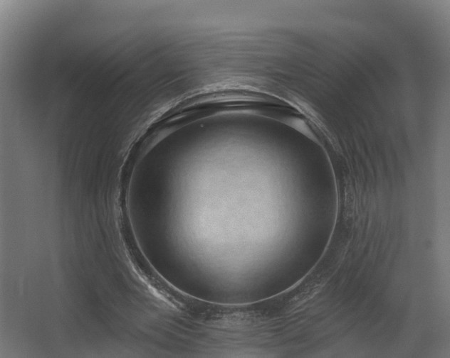 X0000068740485200605011029