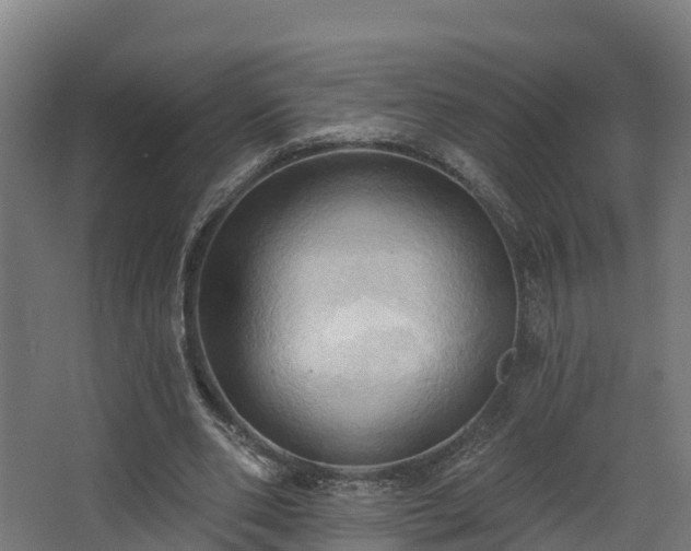 X0000068740486200605011029