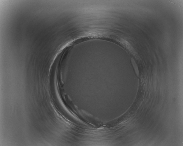 X0000068740488200605011029