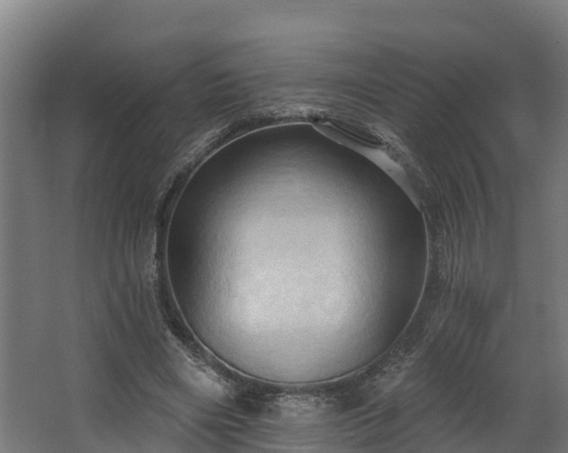 X0000068740490200605011029