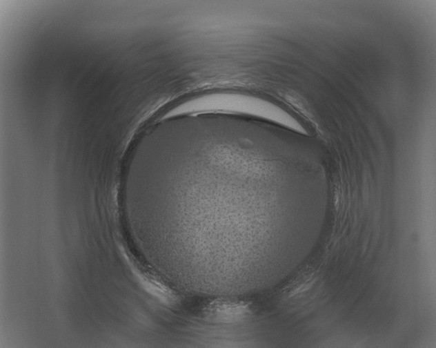 X0000068740491200605011029