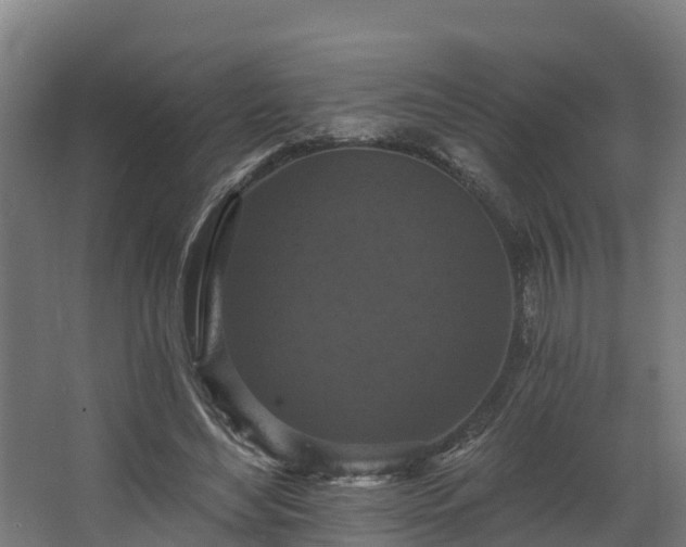 X0000068740492200605011029