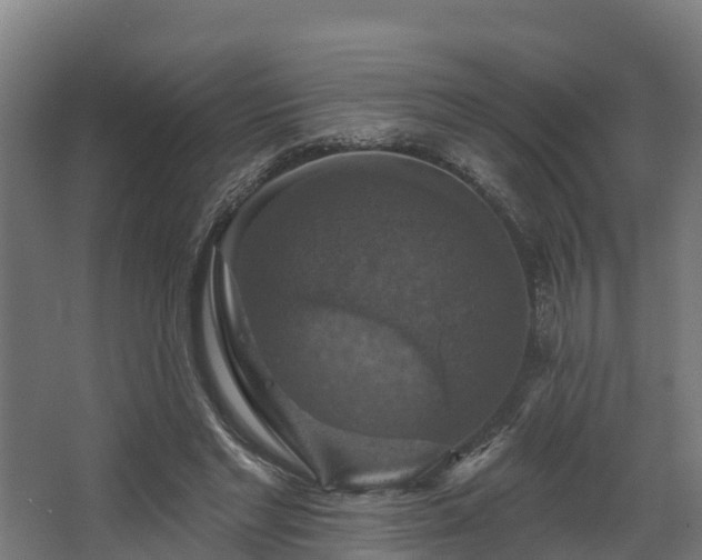 X0000068740493200605011029