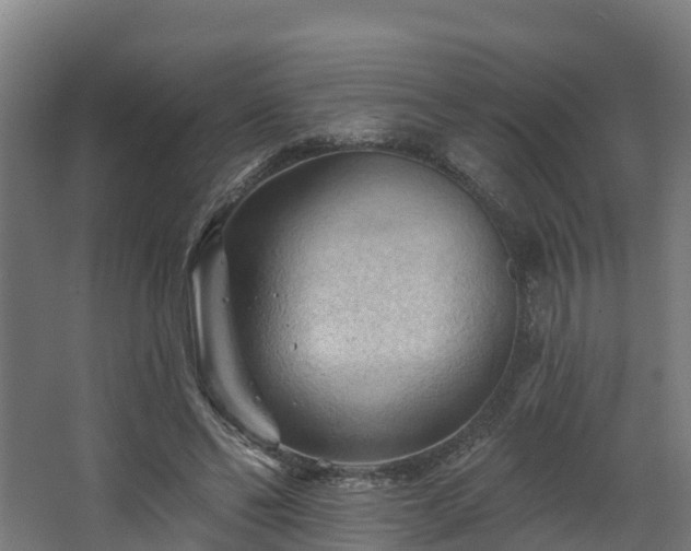 X0000068740494200605011029