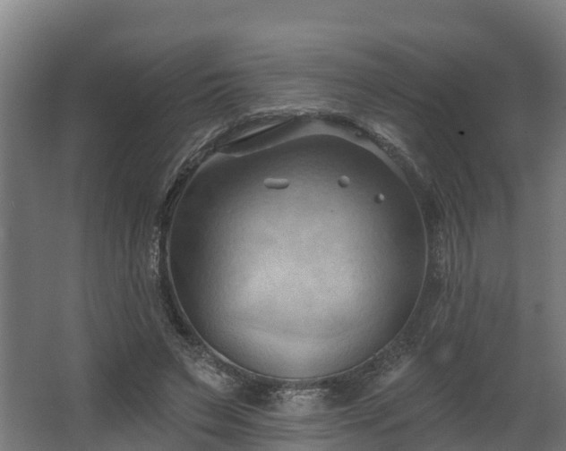 X0000068740495200605011029