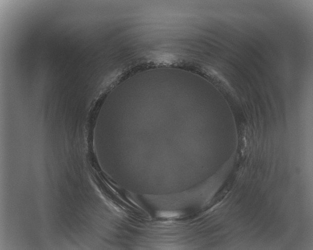 X0000068740496200605011029