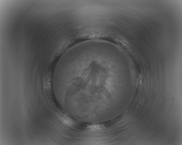 X0000068740499200605011029