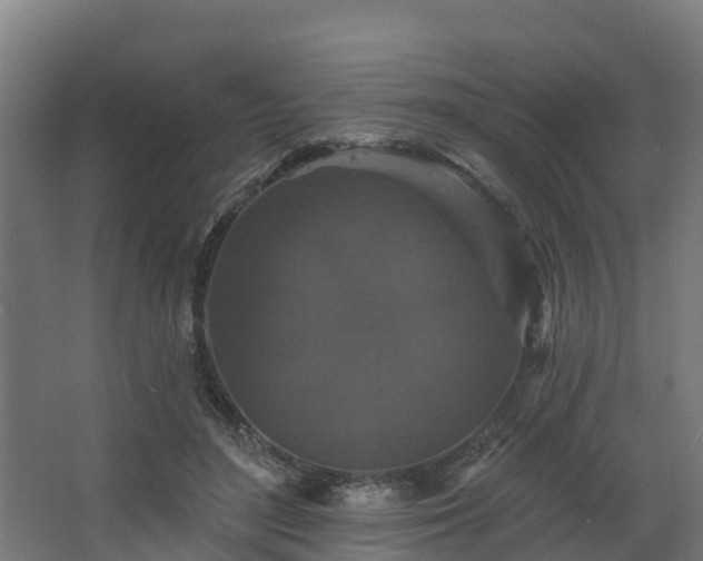 X0000068740500200605011029