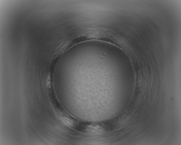 X0000068740502200605011029