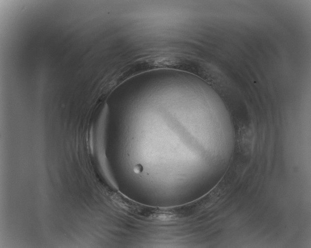 X0000068740506200605011029