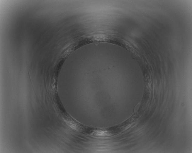 X0000068740507200605011029