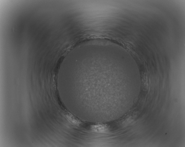 X0000068740511200605011029