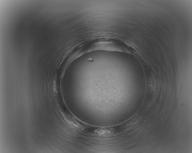 X0000068740512200605011029