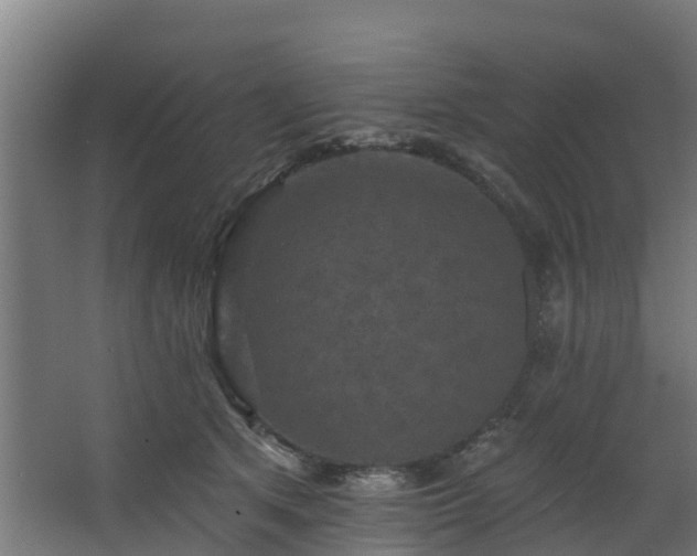 X0000068740513200605011029