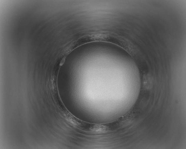 X0000068740514200605011029