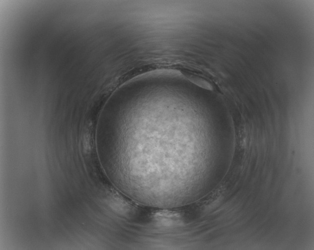 X0000068740515200605011029