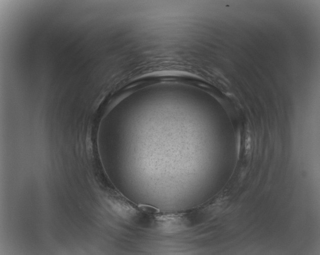 X0000068740516200605011029