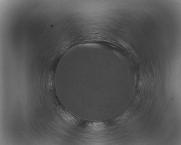 X0000068740517200605011029