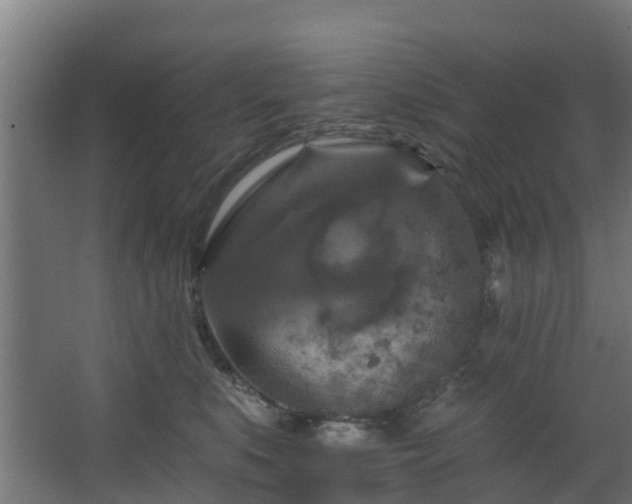 X0000068740519200605011029