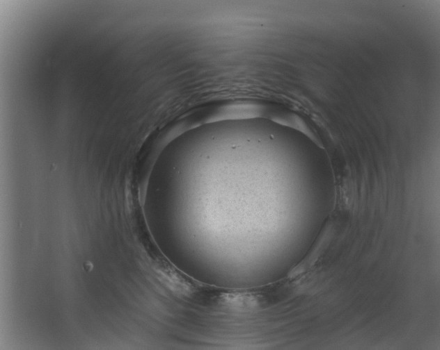 X0000068740520200605011028