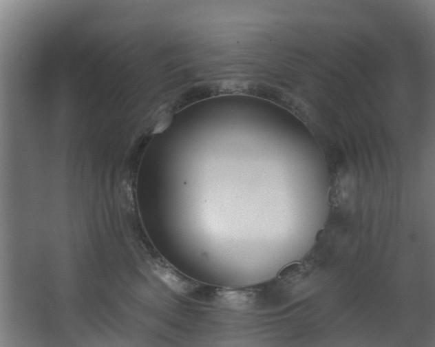 X0000068740522200605011028