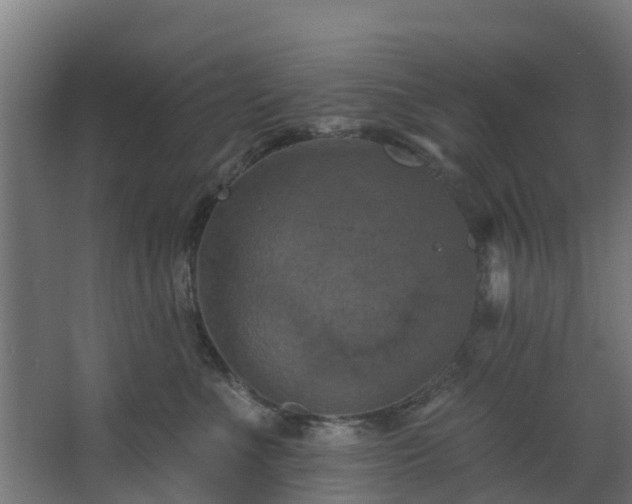 X0000068740523200605011028