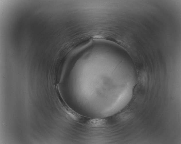 X0000068740526200605011028