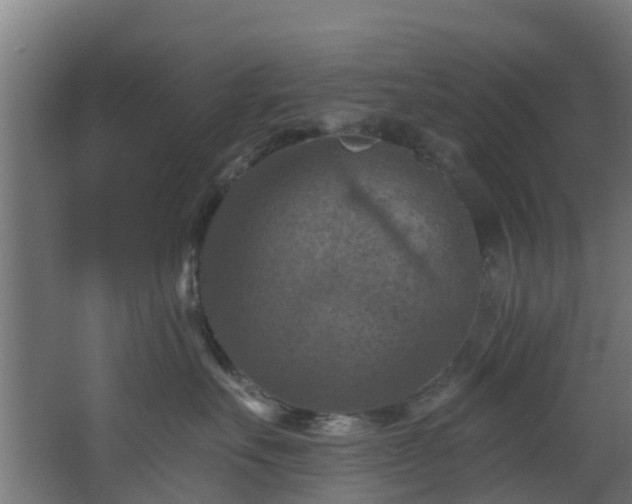 X0000068740527200605011028