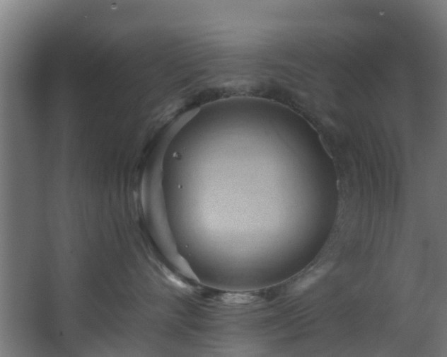 X0000068740528200605011028