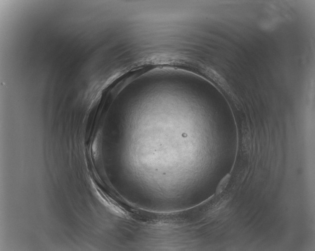 X0000068740530200605011028